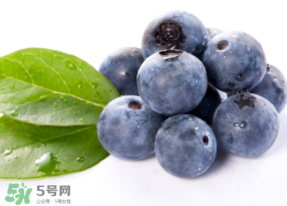 藍(lán)莓是什么顏色？藍(lán)莓泡水什么顏色？