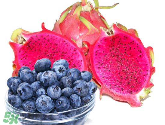 藍莓和火龍果能一起吃嗎？藍莓和火龍果能榨汁嗎？