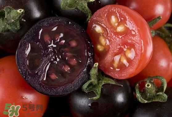 藍(lán)莓和番茄能一起吃嗎？藍(lán)莓和西紅柿能一起吃嗎？
