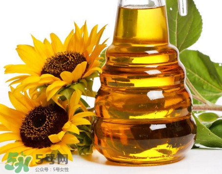 食用油種類有哪些？食用油哪個牌子好