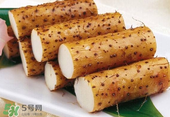 懷山藥是生山藥嗎？懷山藥是鐵棍山藥嗎