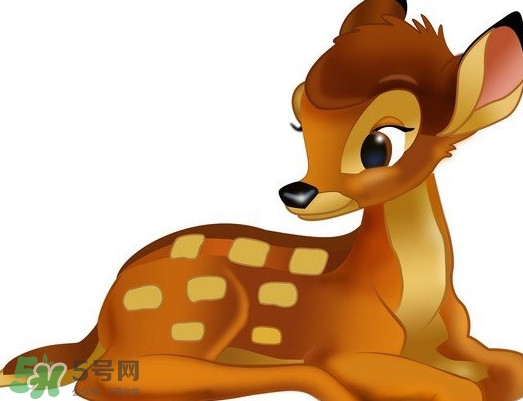 斑比跪是什么意思？斑比跪是什么坐勢(shì)