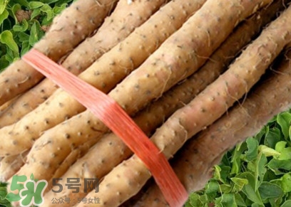 懷山藥可以生吃嗎？懷山藥怎么吃最好