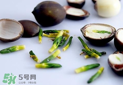 蓮子心能吃嗎？蓮子心是藥食同源嗎