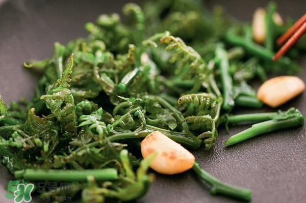 龍須菜怎么清洗？龍須菜怎么處理？