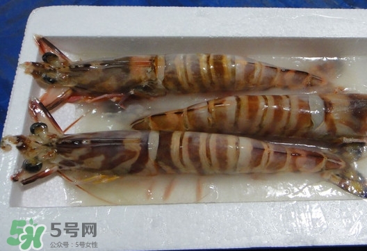 竹節(jié)蝦該怎么吃？竹節(jié)蝦怎么處理干凈