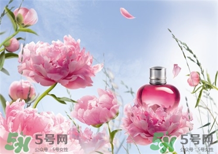 歐舒丹芍藥香氛怎么樣?歐舒丹芍藥香氛價格 歐舒丹芍藥香氛怎么樣?歐舒丹芍藥香氛價格