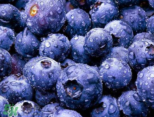 藍(lán)莓和橙子能一起吃嗎？藍(lán)莓和橙子一起吃好嗎？