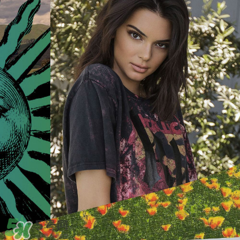 kendall kylie2017復(fù)古系列短袖t恤怎么樣_好看嗎_款式有哪些？