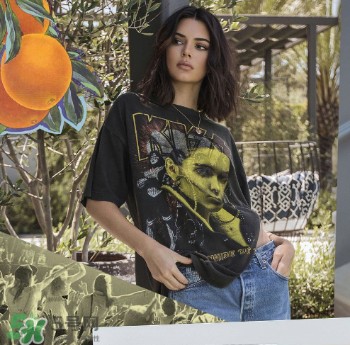 kendall kylie2017復(fù)古系列短袖t恤怎么樣_好看嗎_款式有哪些？