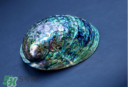 nike foamposite one abalone鮑魚噴什么時(shí)候發(fā)售？