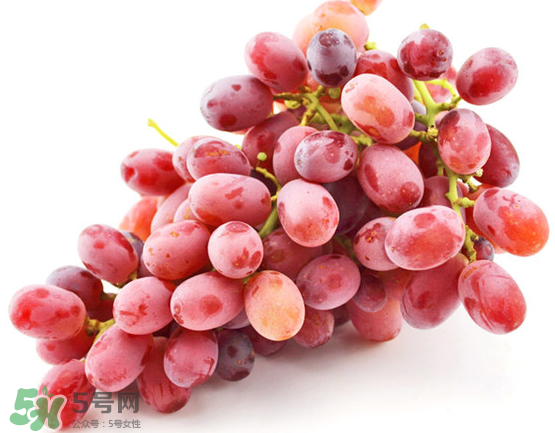 無籽紅提有涂避孕藥嗎？無籽紅提是轉(zhuǎn)基因嗎？