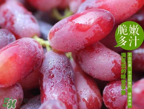 無籽紅提有涂避孕藥嗎？無籽紅提是轉(zhuǎn)基因嗎？