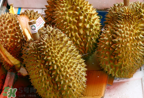 托曼尼榴蓮怎么才是熟？托曼尼榴蓮怎么看生熟？