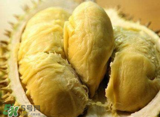 托曼尼榴蓮多少錢？托曼尼榴蓮是哪里的？