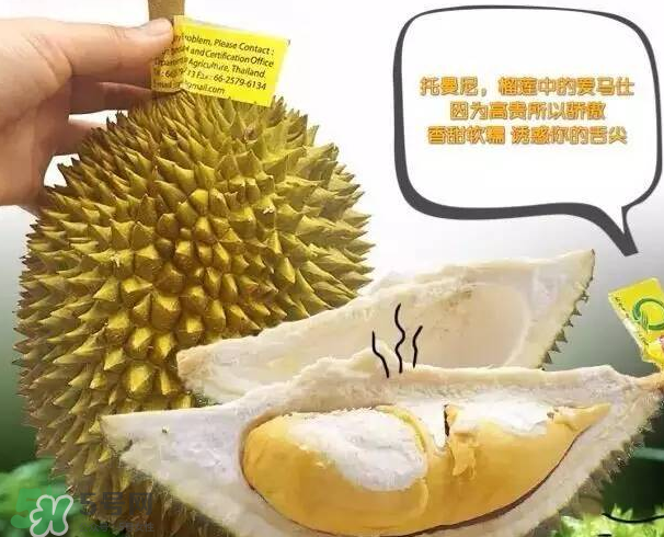 托曼尼榴蓮又叫什么？托曼尼榴蓮簡(jiǎn)介