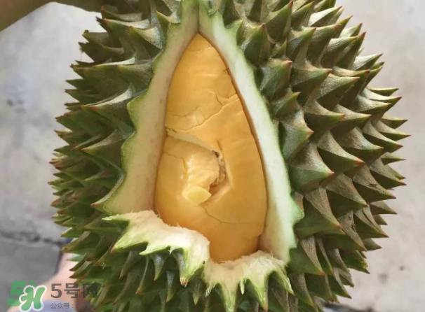 托曼尼榴蓮又叫什么？托曼尼榴蓮簡(jiǎn)介