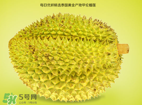 甲侖榴蓮和金枕哪個貴？甲侖榴蓮和金枕的區(qū)別