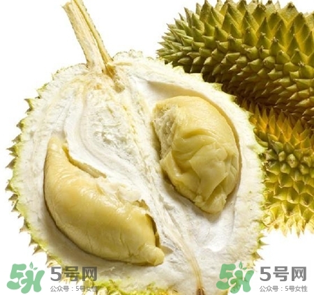 D24榴蓮是什么?D24榴蓮多少錢一斤? D24榴蓮是什么?D24榴蓮多少錢一斤?