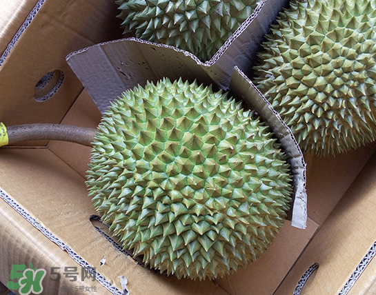 干堯榴蓮怎么樣算熟了？干堯榴蓮怎么挑選？