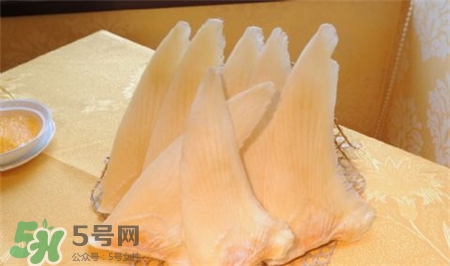 魚翅是什么?魚翅是魚的哪部分? 魚翅是什么?魚翅是魚的哪部分?