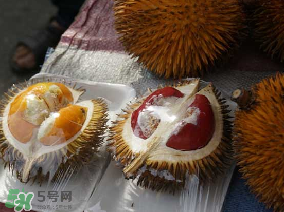 榴蓮核可以煲湯嗎？榴蓮核可以煲雞湯嗎？