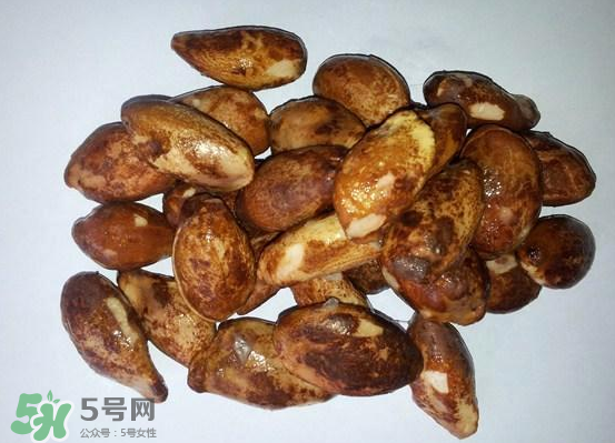 榴蓮核可以煲湯嗎？榴蓮核可以煲雞湯嗎？