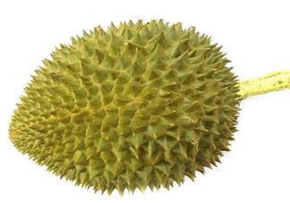 托曼尼榴蓮多少錢？托曼尼榴蓮是哪里的？