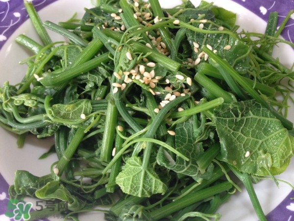 龍須菜怎么清洗？龍須菜怎么處理？