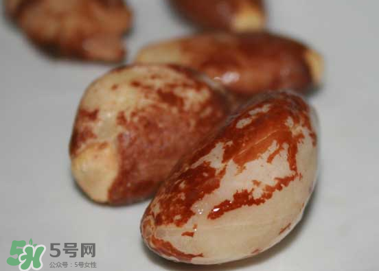 榴蓮核可以煲湯嗎？榴蓮核可以煲雞湯嗎？