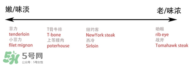 牛排是牛的哪個部位？牛排是牛身上哪塊肉？