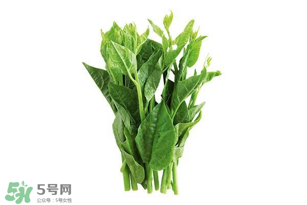 龍須菜有幾種？龍須菜多少錢一斤？