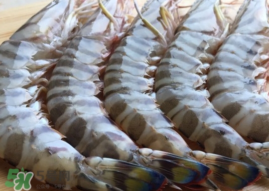 竹節(jié)蝦該怎么吃？竹節(jié)蝦怎么處理干凈