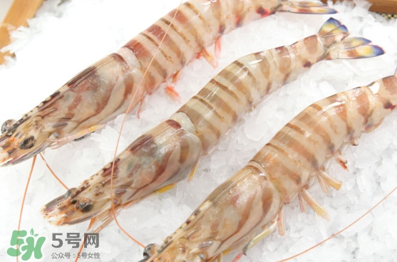 竹節(jié)蝦是海里的嗎？竹節(jié)蝦是海蝦還是河蝦