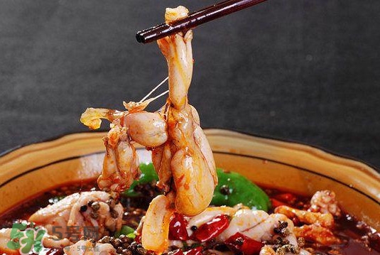 牛蛙是寒性的嗎？牛蛙是涼性還是熱性？