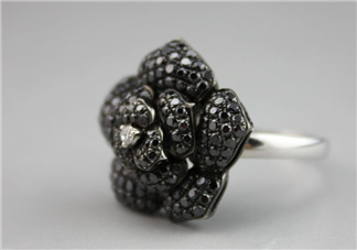 黑鉆戒指是什么牌子?黑鉆戒指多少錢(qián)?