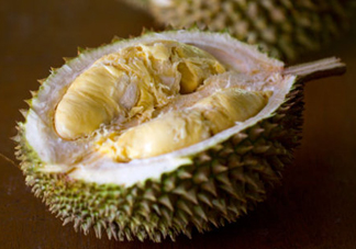 托曼尼榴蓮怎么才是熟？托曼尼榴蓮怎么看生熟？