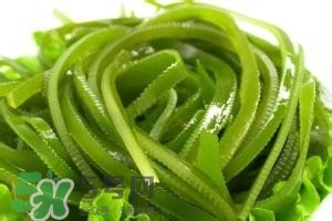 鮮海帶怎么做好吃？鮮海帶怎么保存？