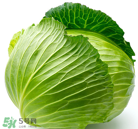 8月份吃什么蔬菜？八月份適合吃什么蔬菜？