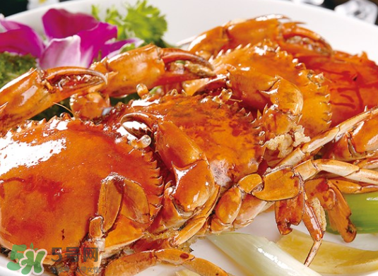 8月份吃什么螃蟹？8月份吃公蟹還是母蟹？