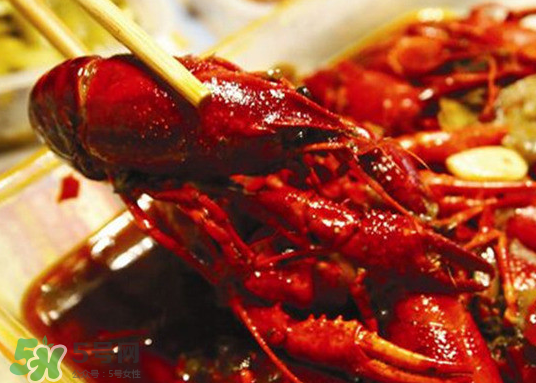 八月份還要小龍蝦？小龍蝦幾月份結(jié)束？