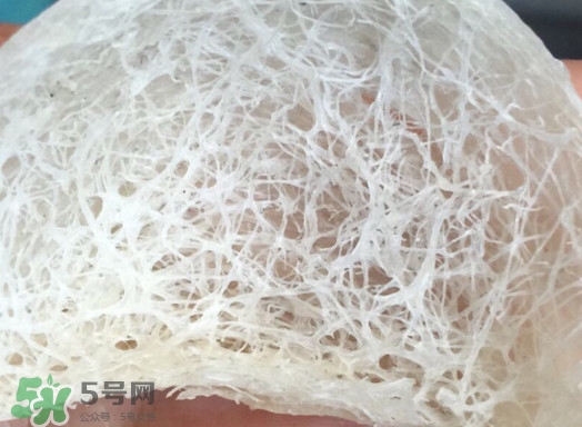 馬來西亞燕窩好還是印尼好？馬來西亞燕窩和印尼燕窩區(qū)別