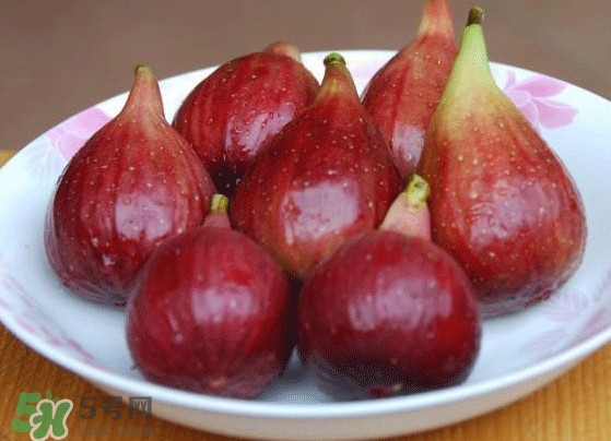 新鮮無花果怎么保存？無花果能保存多久？