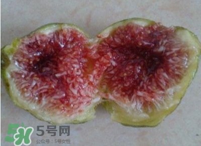 無花果是水果嗎？無花果是什么季節(jié)的水果