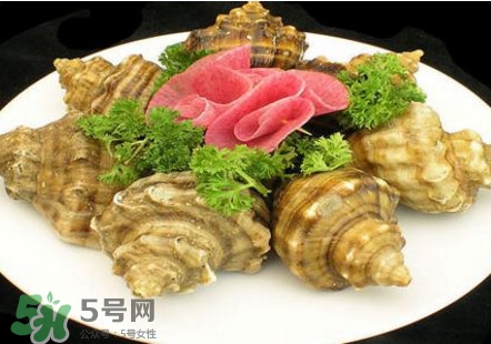 海螺可以冷凍嗎？海螺放冰箱能保存多久