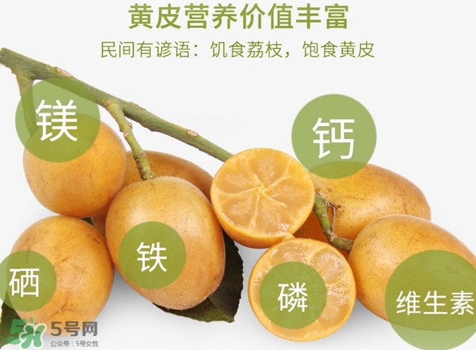 黃皮果是小金橘嗎？黃皮果和小金橘的區(qū)別