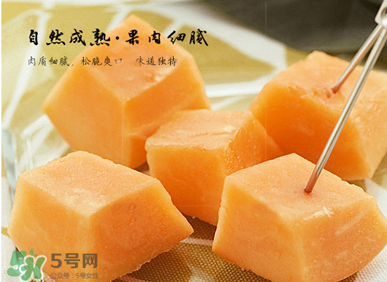 西州蜜瓜什么季節(jié)熟？西州蜜瓜幾月份成熟？