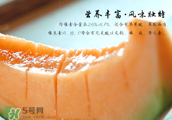 西州蜜瓜什么季節(jié)熟？西州蜜瓜幾月份成熟？