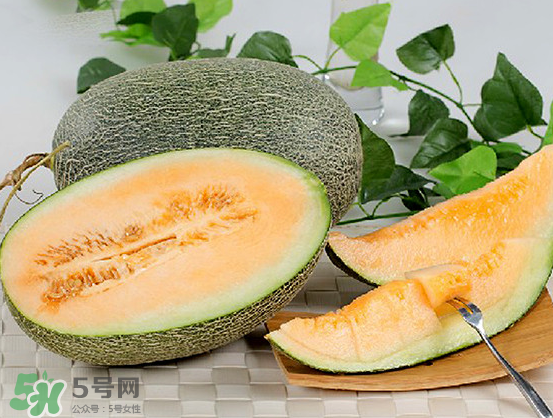 西州蜜瓜什么季節(jié)熟？西州蜜瓜幾月份成熟？