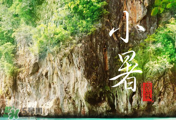 小暑是入伏嗎？小暑是不是入伏？